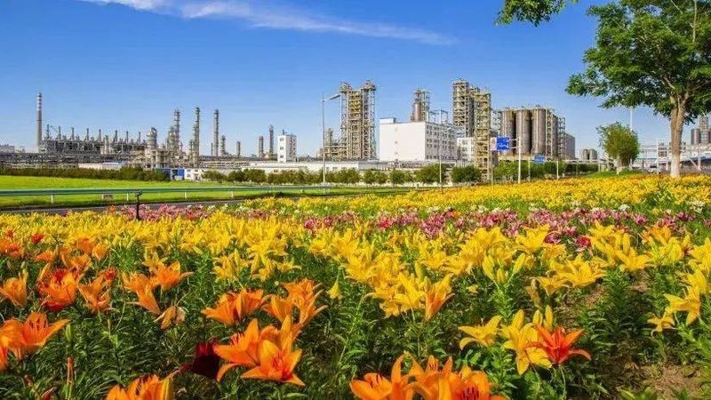纺织印染助剂：揭秘十大品牌背后的技术奥秘