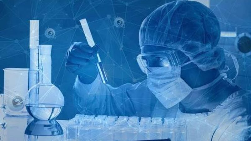 小标题：防腐剂的作用与重要性